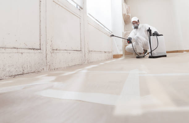 24/7 Emergency Mold Remediation experts in Sidman, PA